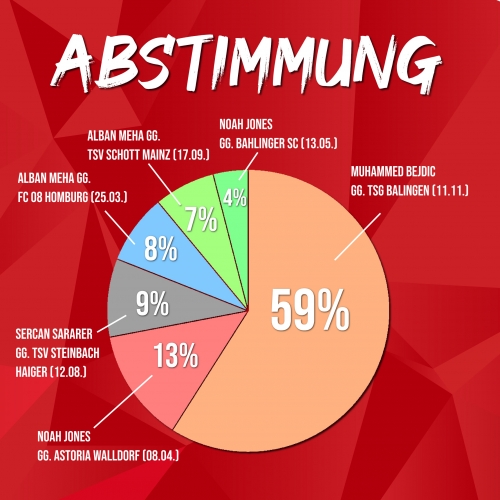 Die Abstimmungsergebnisse im Überblick
