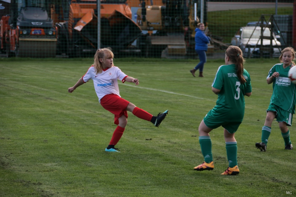 D-Juniorinnen: Mit Teamgeist zum Sieg