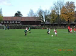 Marlin treibt das Spiel an