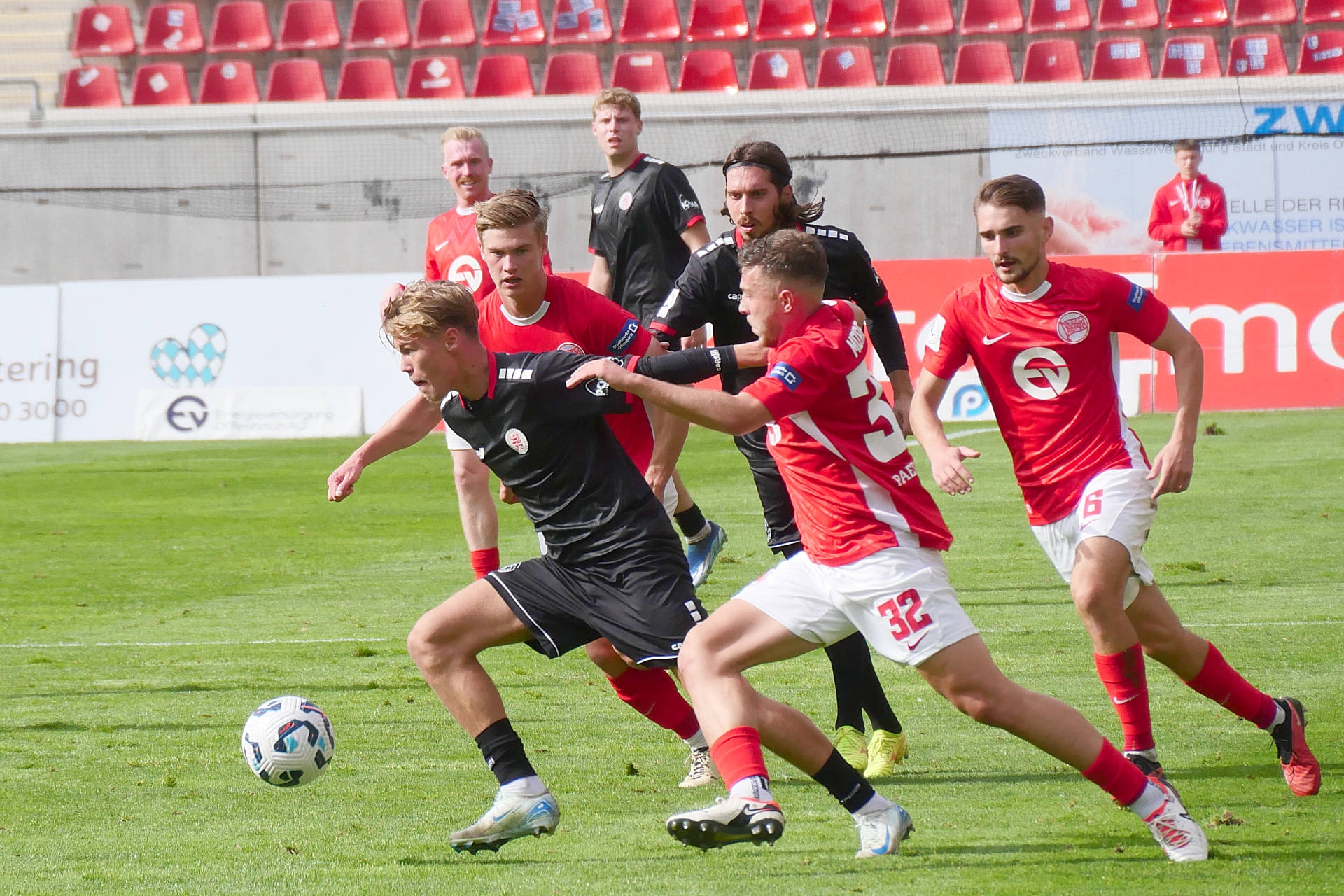 Löwen kommen auf dem Bieberer Berg unter die Räder