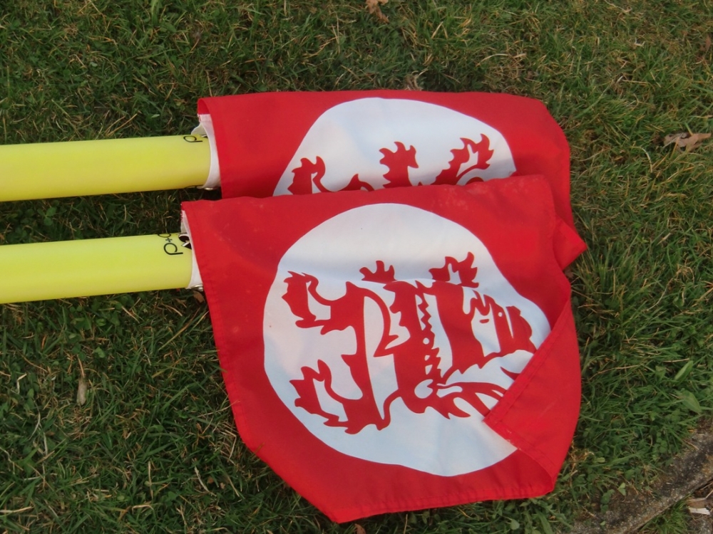 Spiel gegen TSG Hoffenheim II am Samstag fällt aus!