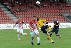 Nazif Hajdarovic, Tobias Damm