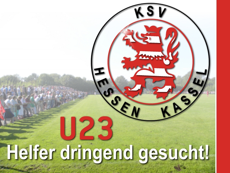 Junglöwen brauchen Hilfe