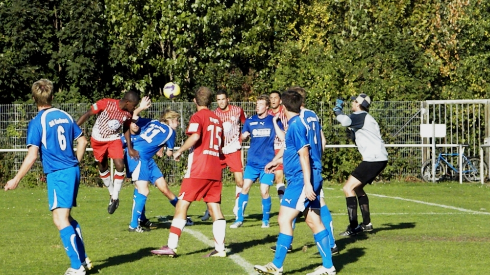 Jungl&ouml;wen siegen souver&auml;n