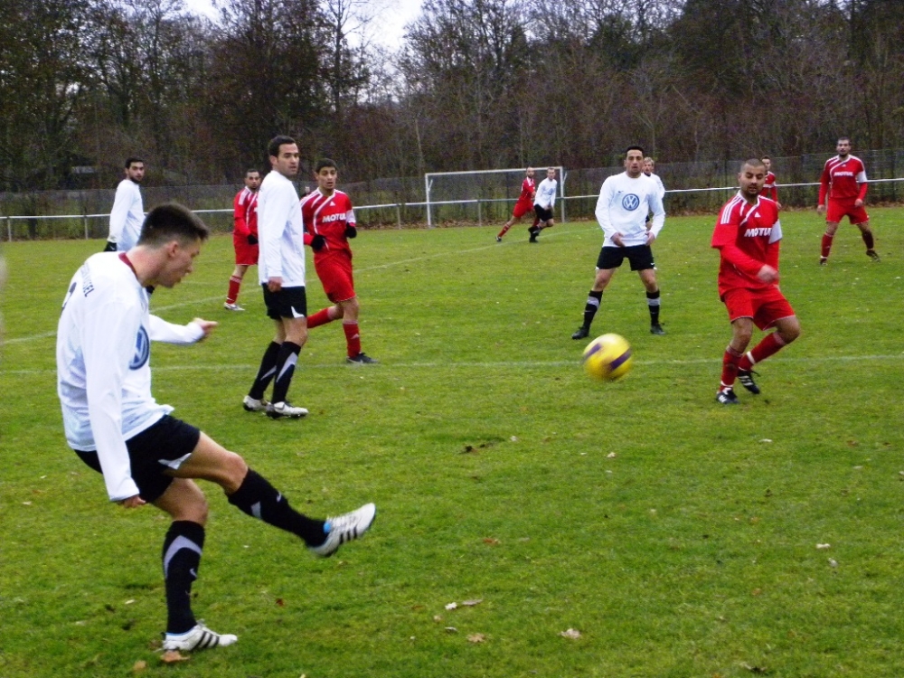 Jungl&ouml;wen mit Sonntagsspaziergang Derbysieger