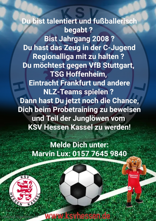 Die Löwen suchen Spieler fĂŒr die U15 der kommenden Saison