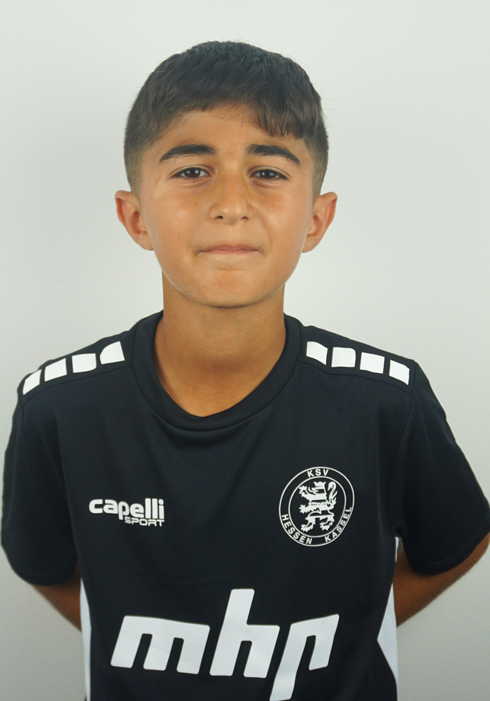 Kaplan, Sahin