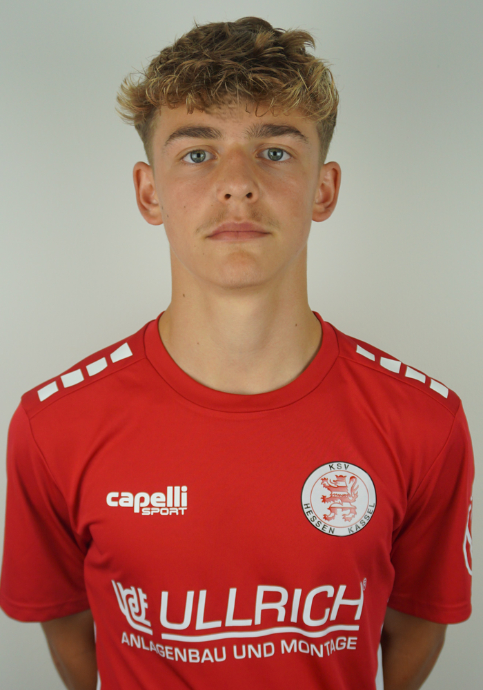 Hedrich, Hannes