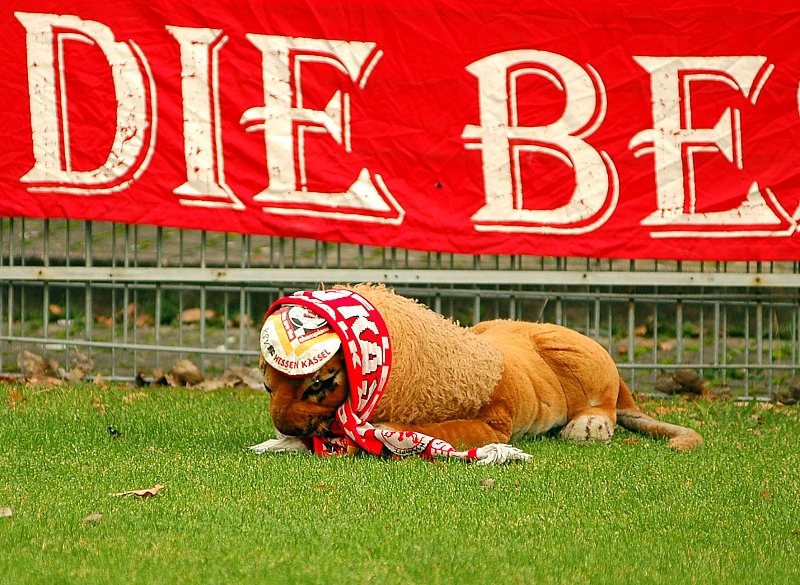 Fan Maskottchen half auch nicht zum Sieg (Foto: Jo Baur)