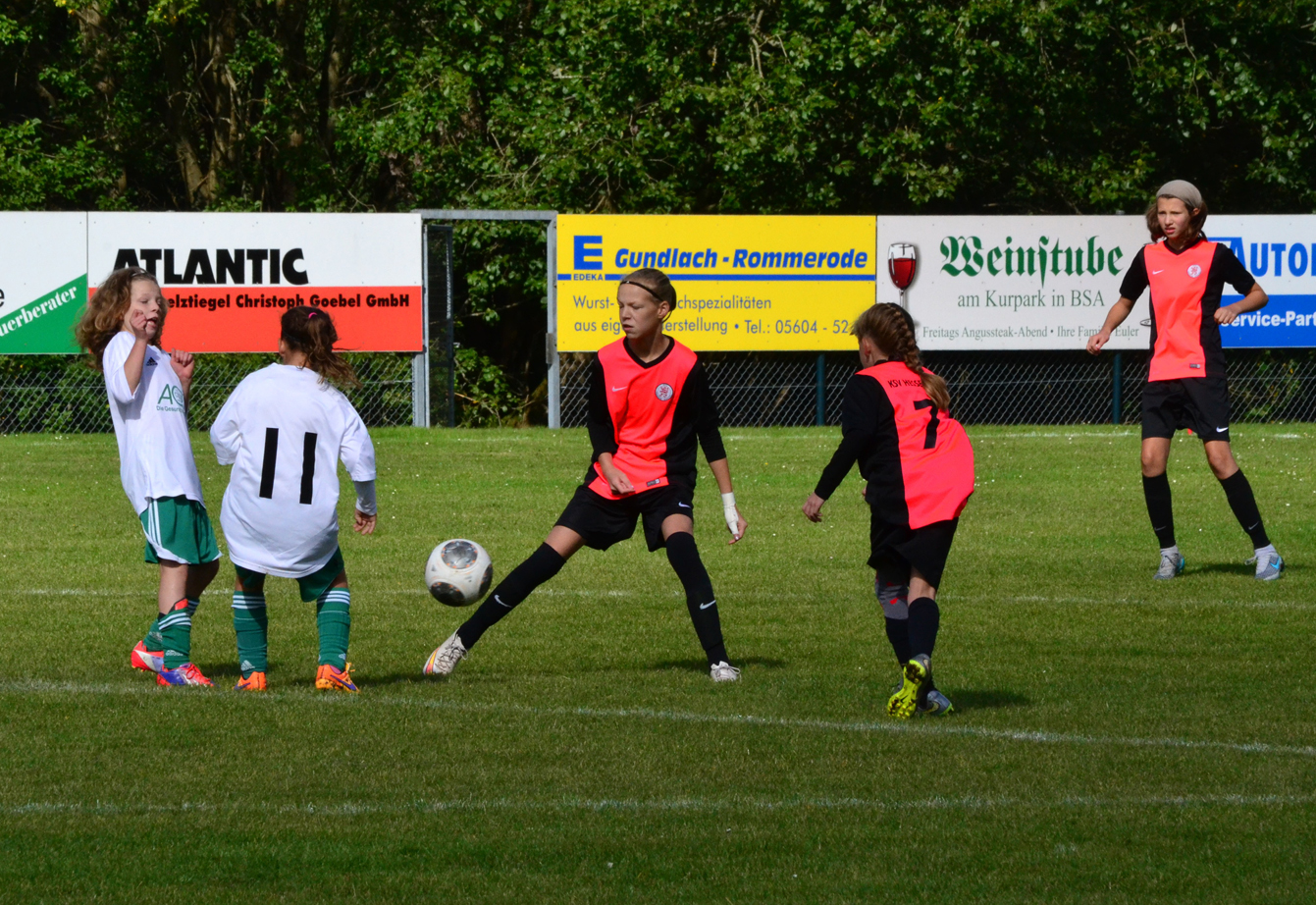 FCG-KSV DM