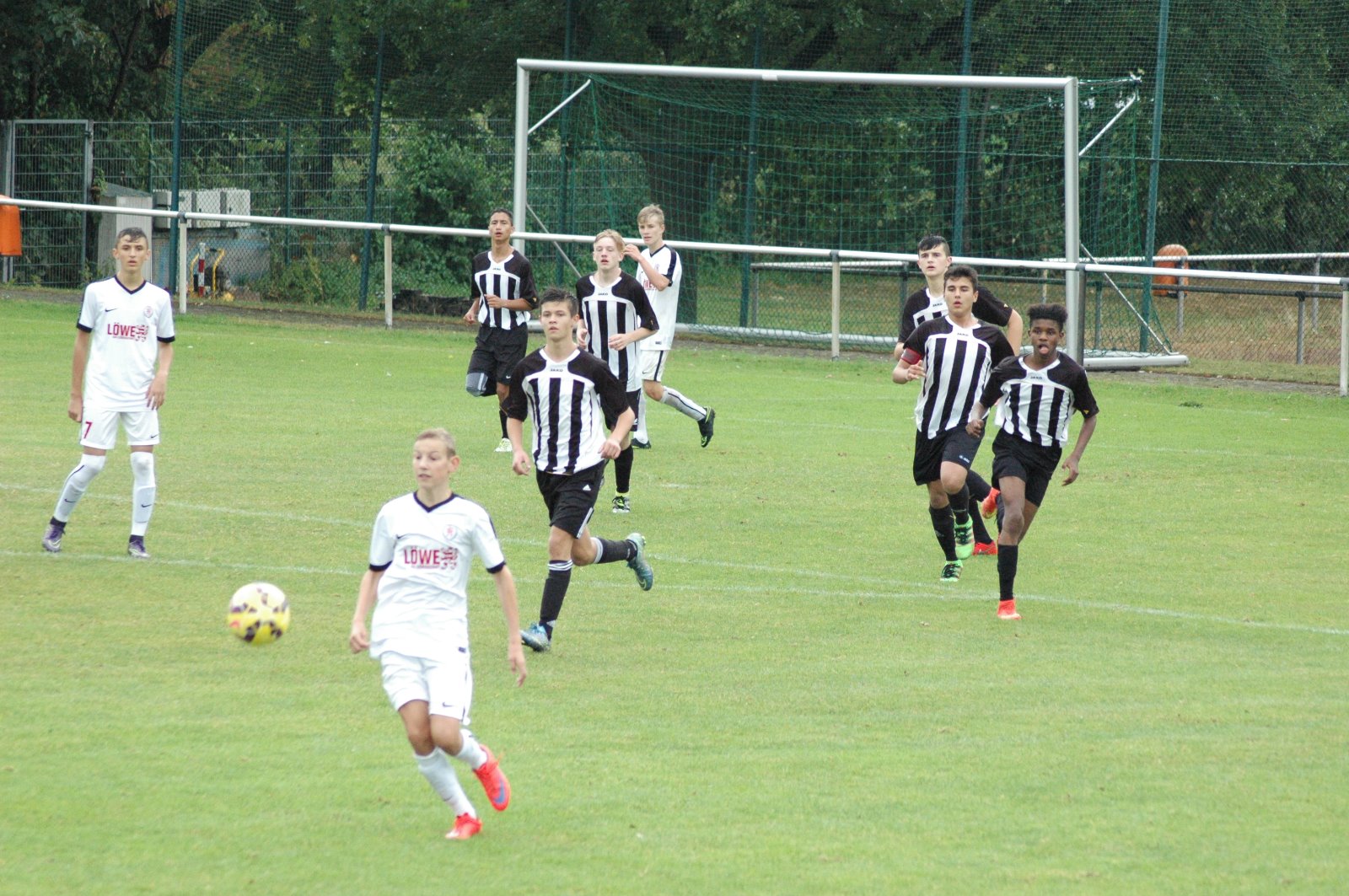 U16 - VfL Kassel II