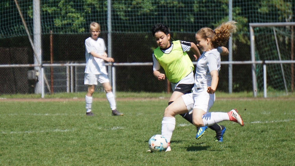 Wilhelmshöhe U15 - U13