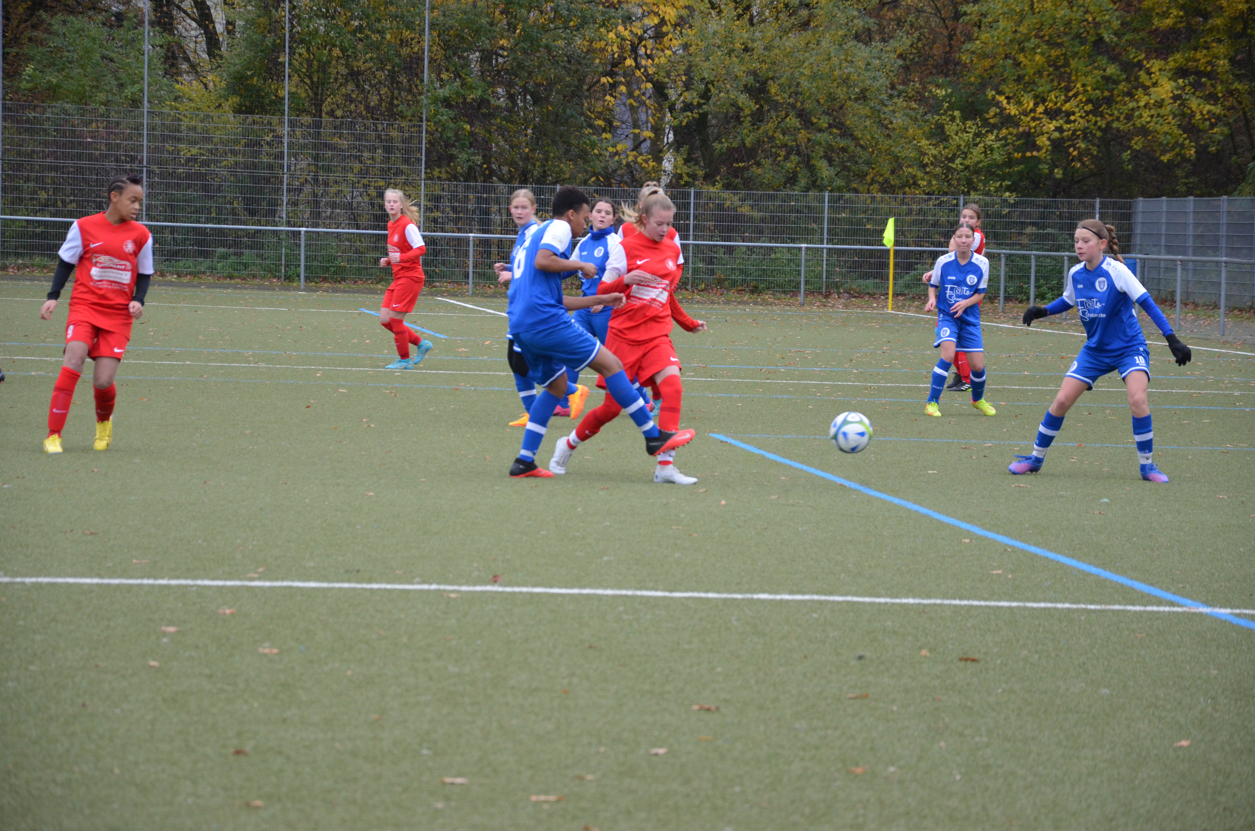 SG Wiking Offenbach - KSV Hessen Kassel SG Wiking Offenbach - KSV Hessen Kassel
