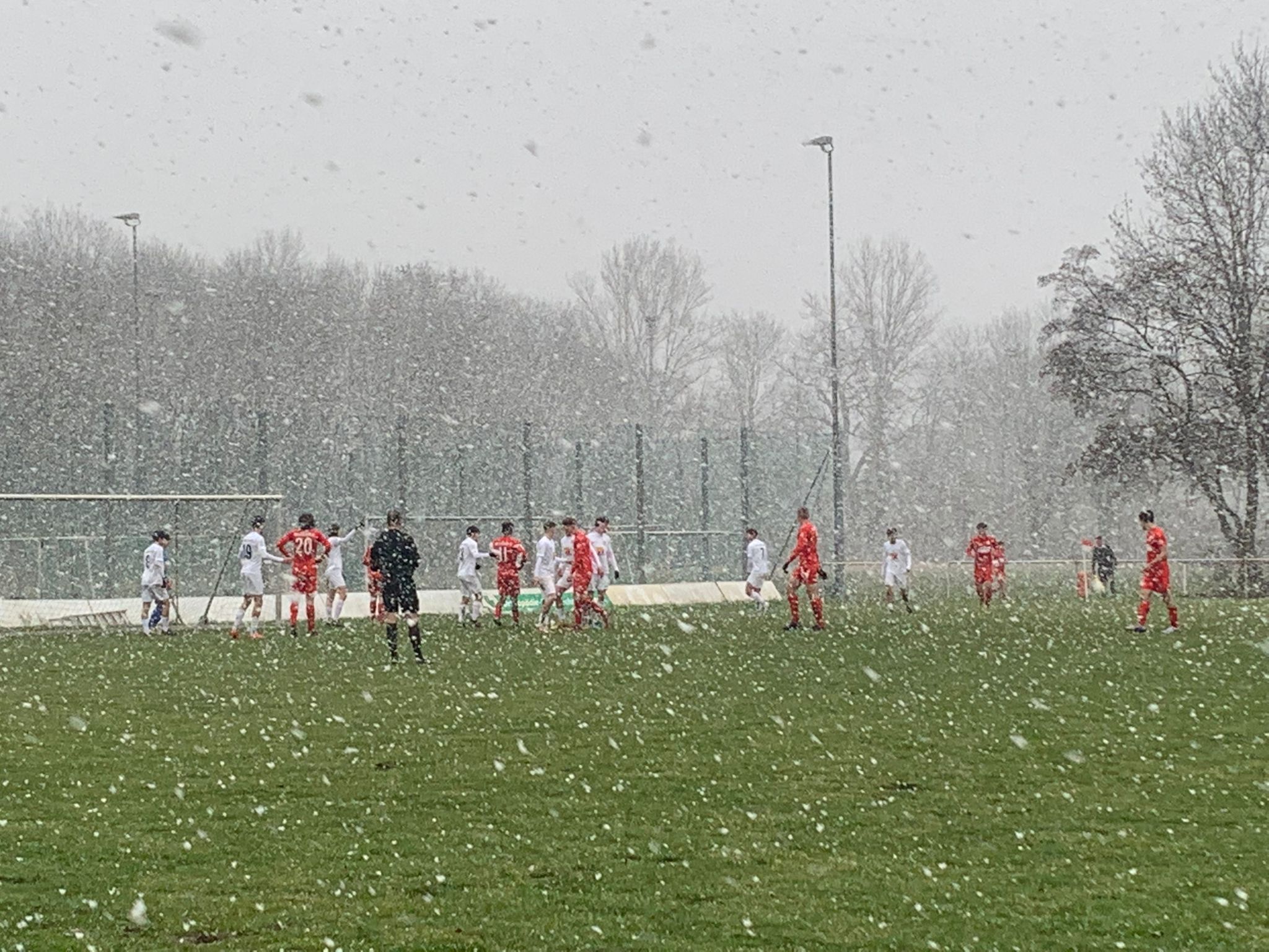 Hallescher FC - U19