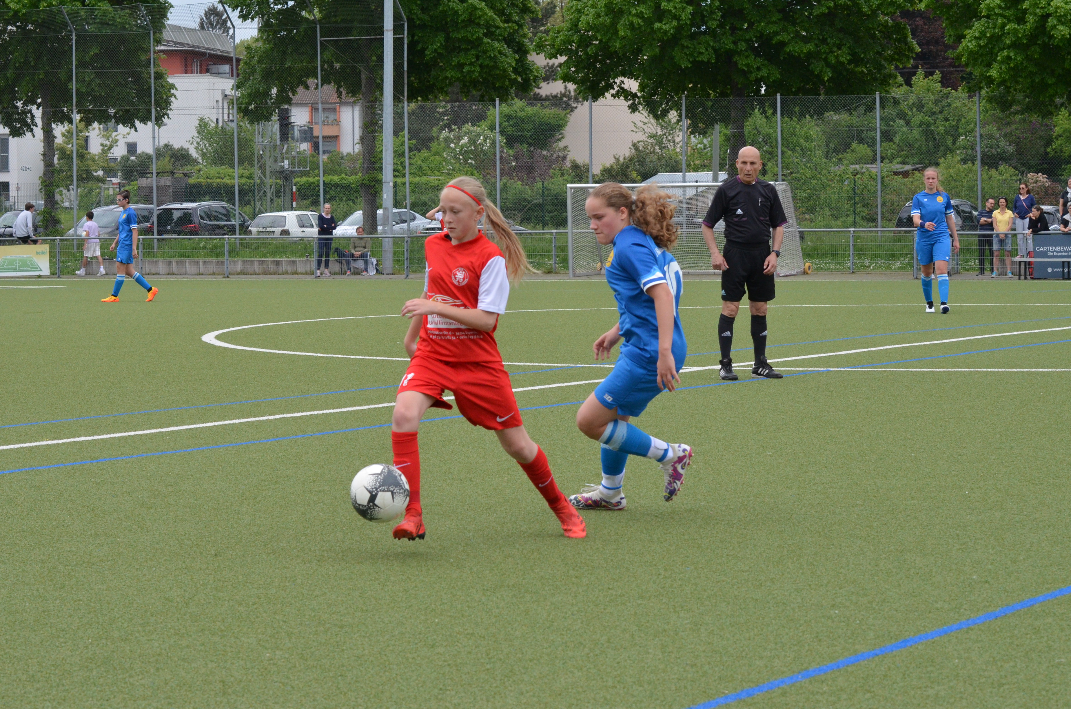 SV Blau-Gelb FFM - KSV Hessen Kassel SV Blau-Gelb FFM - KSV Hessen Kassel
