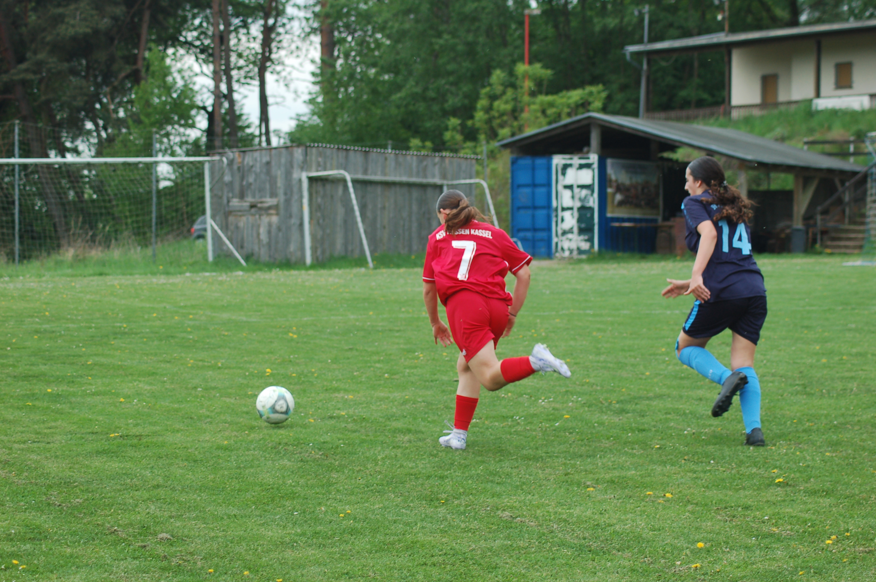 JFV Ebsdorfergrund - KSV Hessen Kassel 