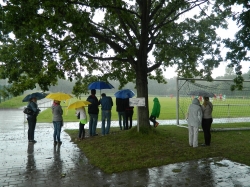 Schutz unter Bäumen und Regenschirmen für die Zuschauer