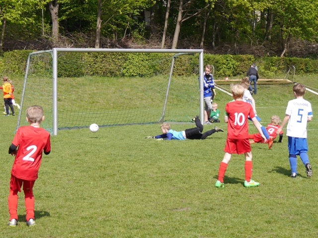 U9 BSC-Cup 2015 (Mai 2015)