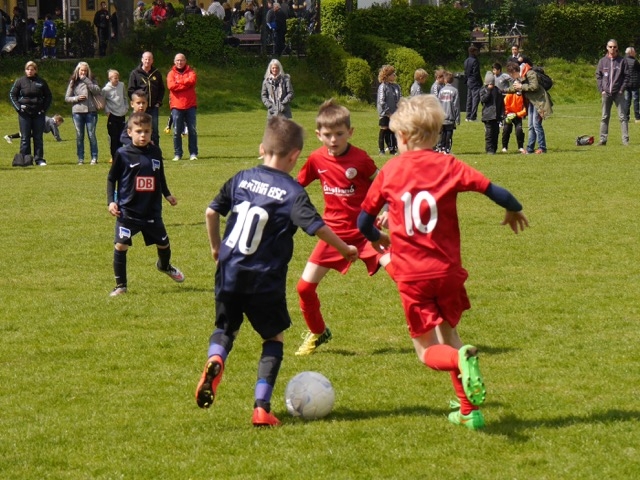 U9 BSC-Cup 2015 (Mai 2015)