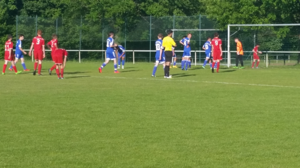 U14 - JSG Hertingshausen/Rengershausen (Mai 2015)