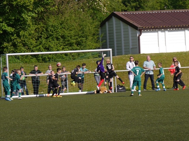 TSV Heiligenrode - U9 (Mai 2015)