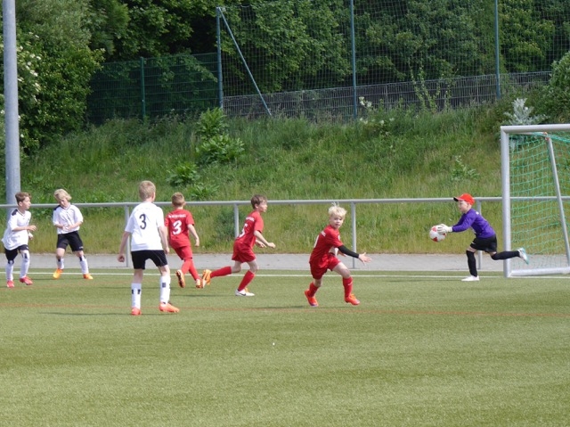 U9 - TSG Wilhelmshöhe (Juni 2015)