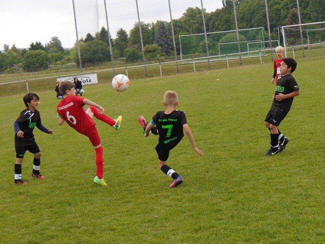 U9 Turnier bei Olympia Kassel