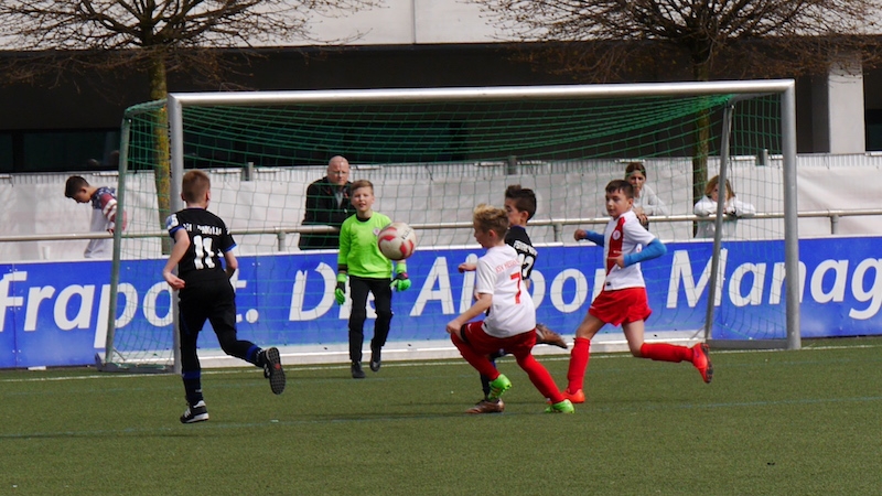 FSV Frankfurt - U10