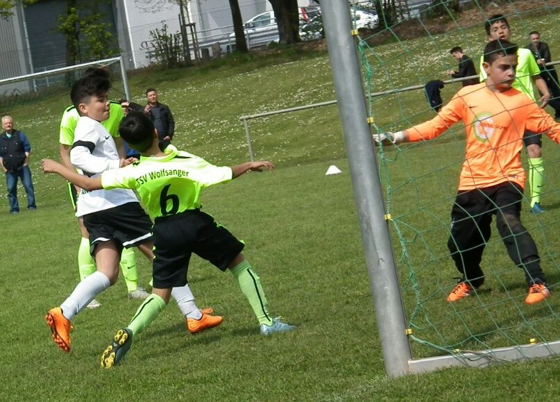 Wolfsanger - U13