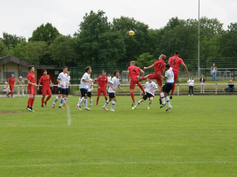 U19 - FSV Frankfurt