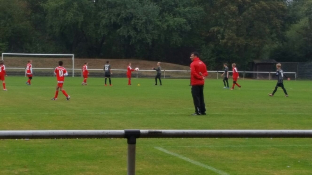 U11 - Hallescher FC