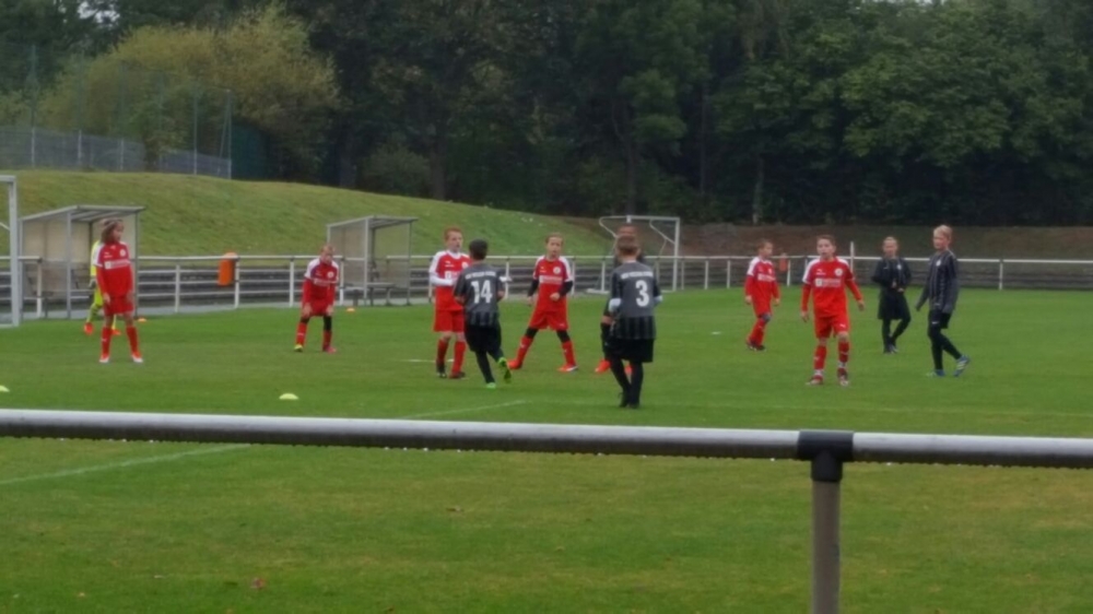 U11 - Hallescher FC