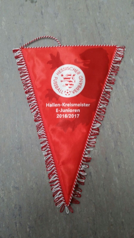 U11 Hallenkreismeisterschaft Endrunde