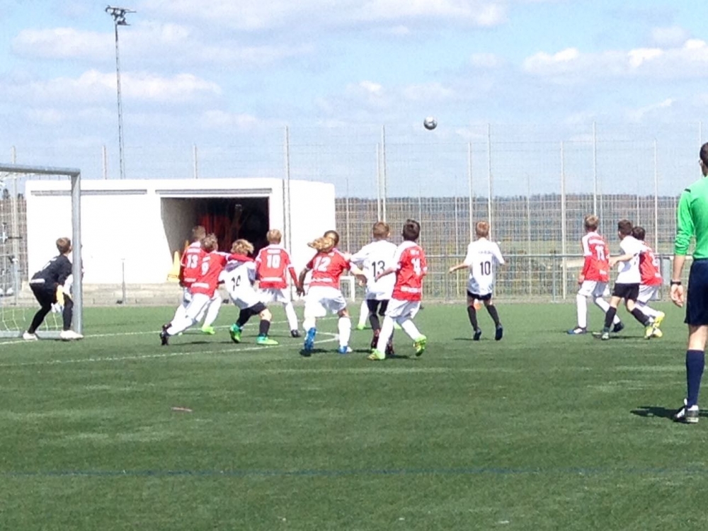 Wehen Wiesbaden - U11