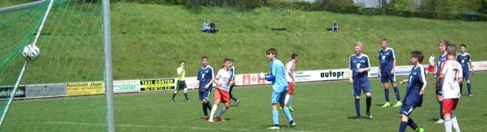 Calden/Grebenstein - U14