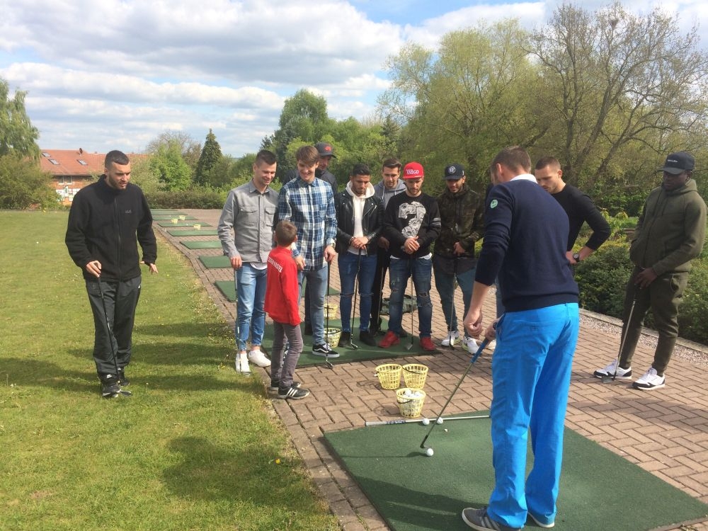 Die Löwen im GolfPark Gudensberg