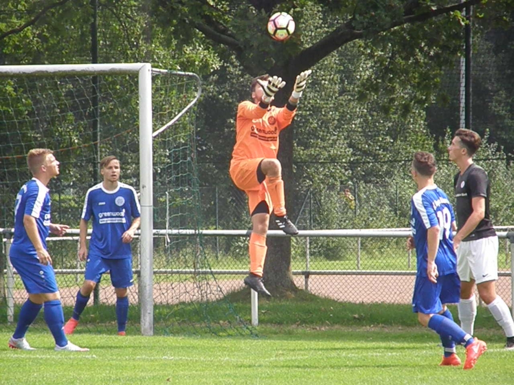 U19 - Bayern Alzenau