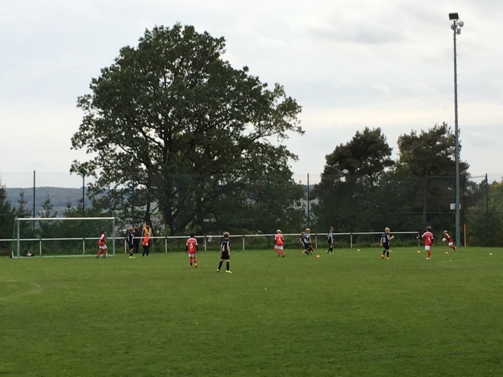 JSG Melsungen U11 - U10