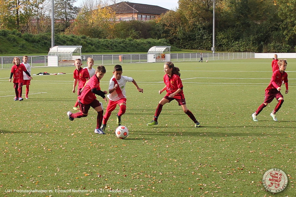 Northeim - U11