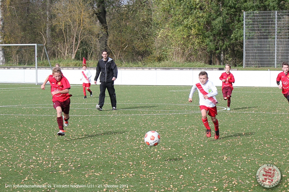 Northeim - U11