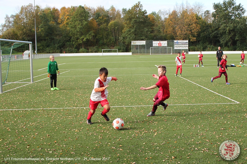 Northeim - U11