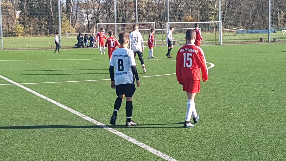 U14 Leistungsvergleich Hallescher FC