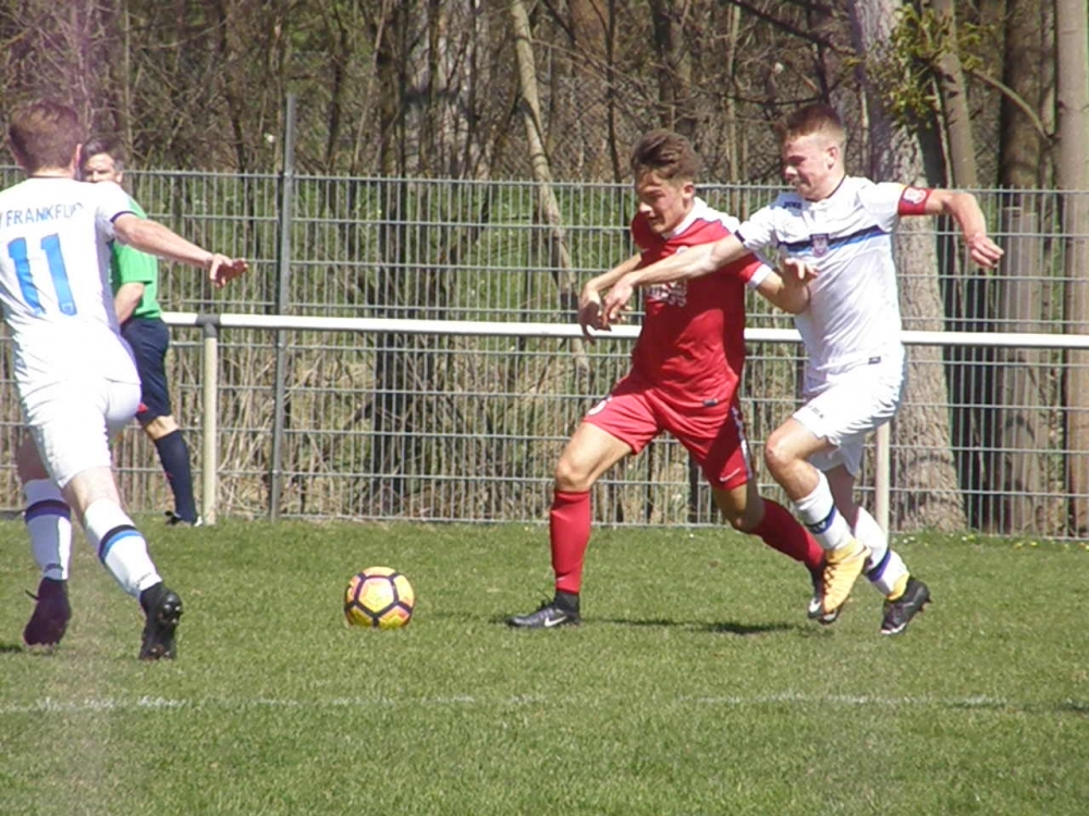 U17 - FSV Frankfurt