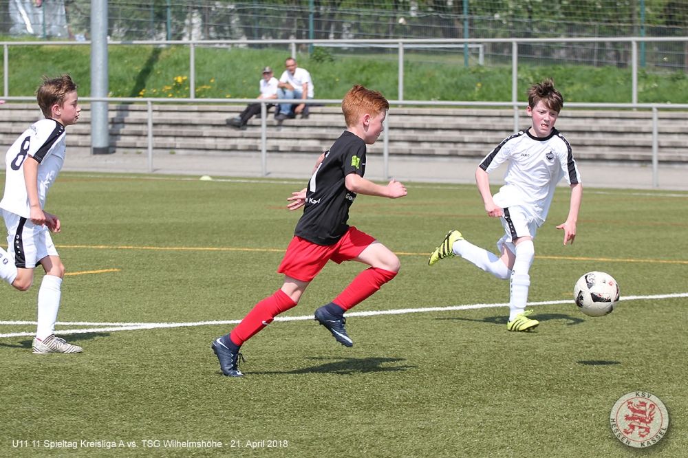 U11 - TSG Wilhelmshöhe