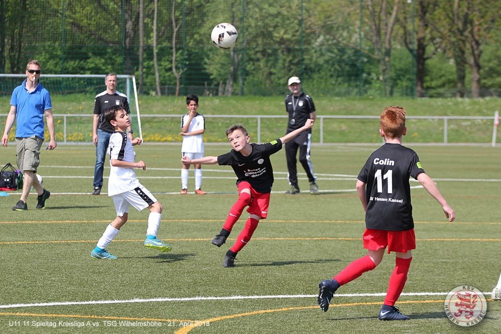 U11 - TSG Wilhelmshöhe