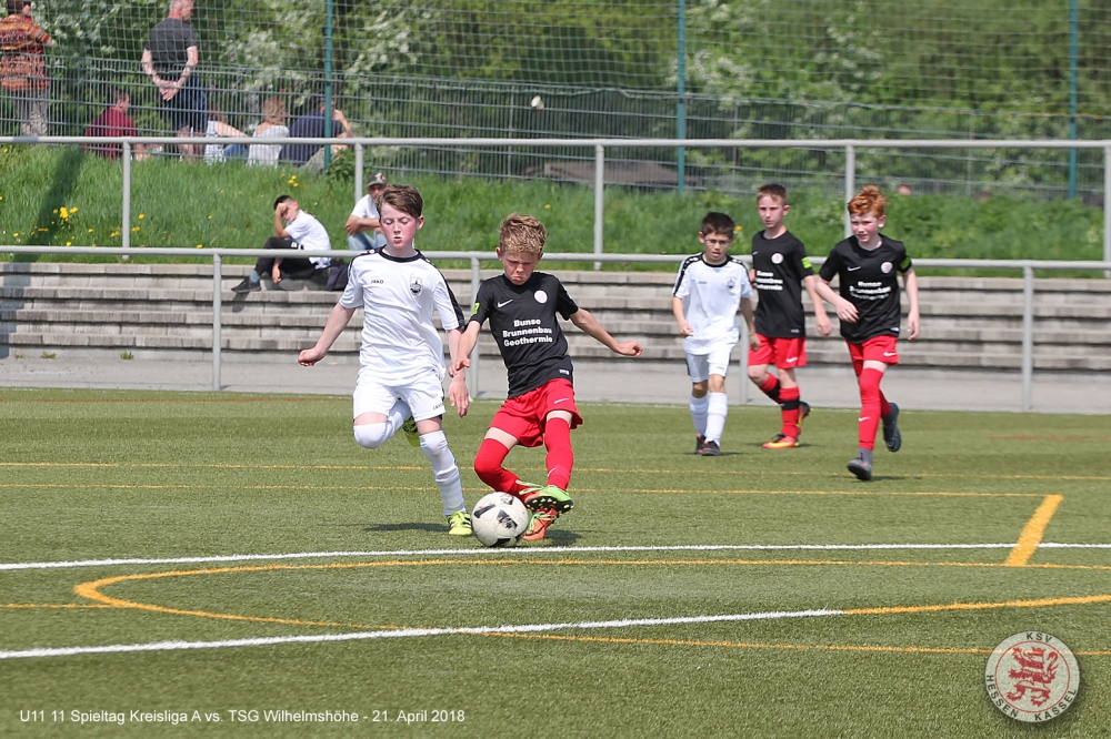 U11 - TSG Wilhelmshöhe