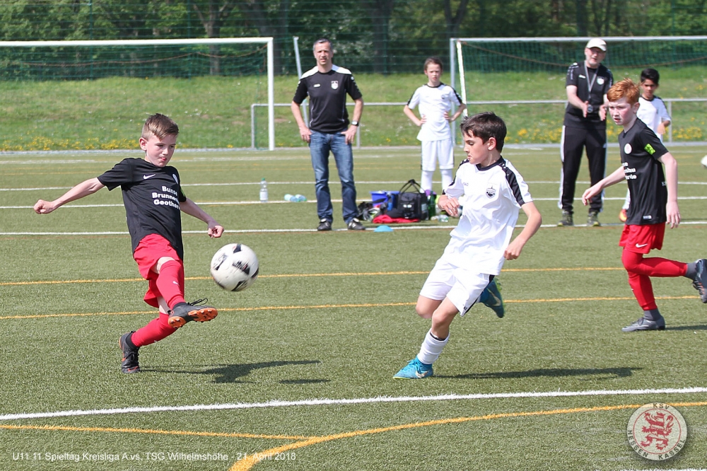 U11 - TSG Wilhelmshöhe