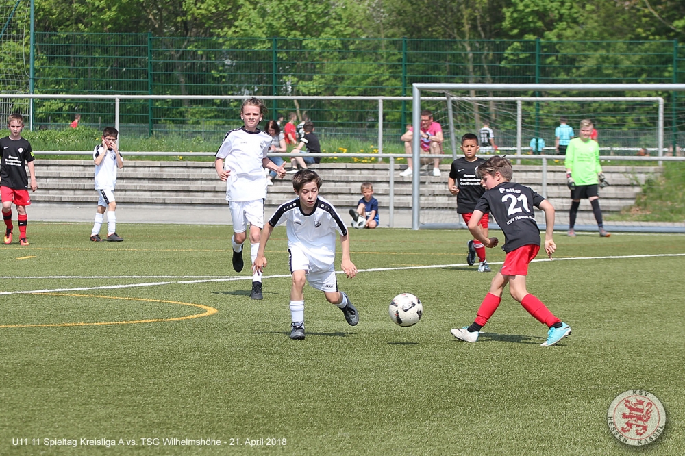 U11 - TSG Wilhelmshöhe