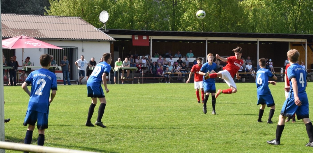 JfV Viktoria Fulda - U15