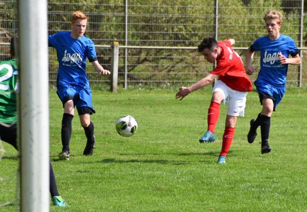 JfV Viktoria Fulda - U15